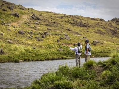 Rainbow Trout Fly Fishing