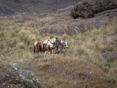 Hunting Lodge Argentina