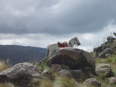 Hunting Lodge Argentina