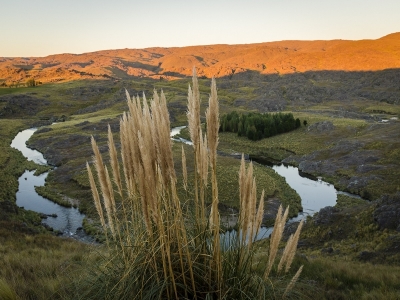 Hunting Lodge Argentina