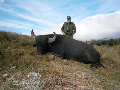 Hunting Lodge Argentina