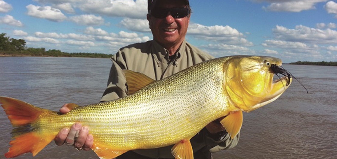 25_golden-dorado-fishing-argentinajpg.jpg