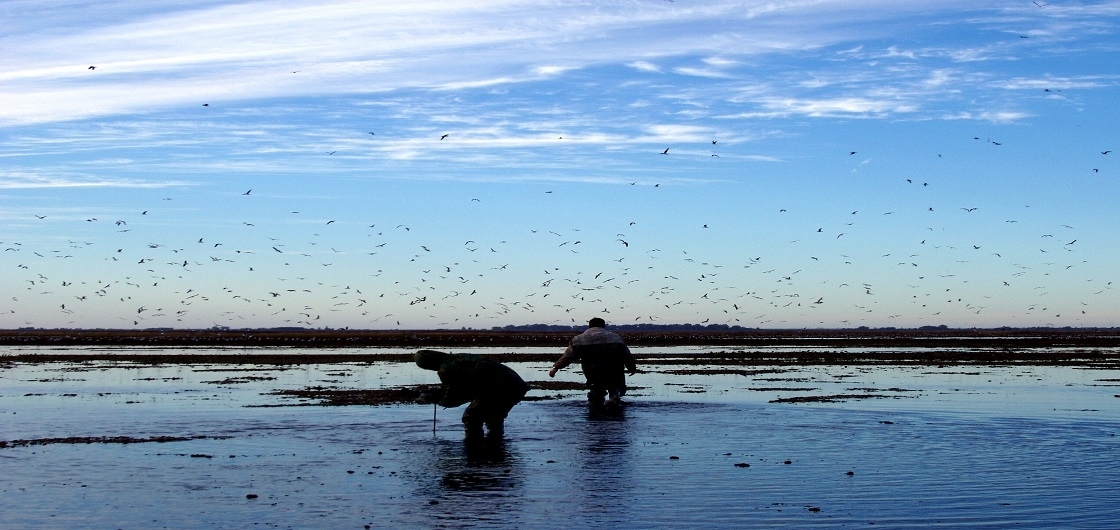 25_duck-hunting-argentina-3.jpg